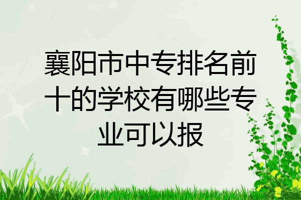 襄阳市中专排名前十的学校有哪些专业可以报