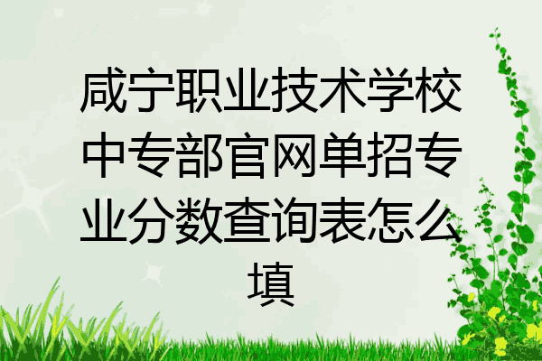 咸宁职业技术学校中专部官网单招专业分数查询表怎么填