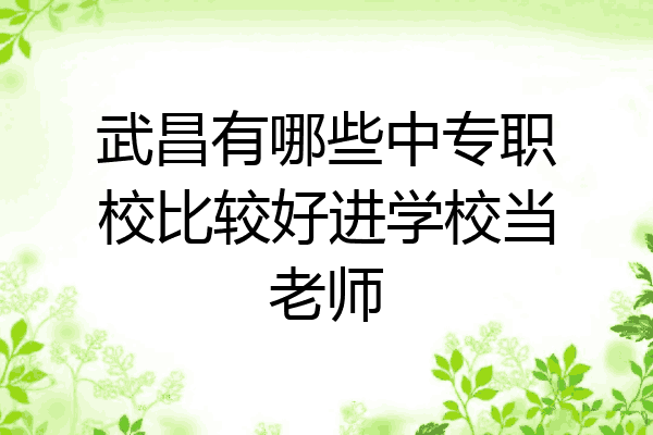 武昌有哪些中专职校比较好进学校当老师