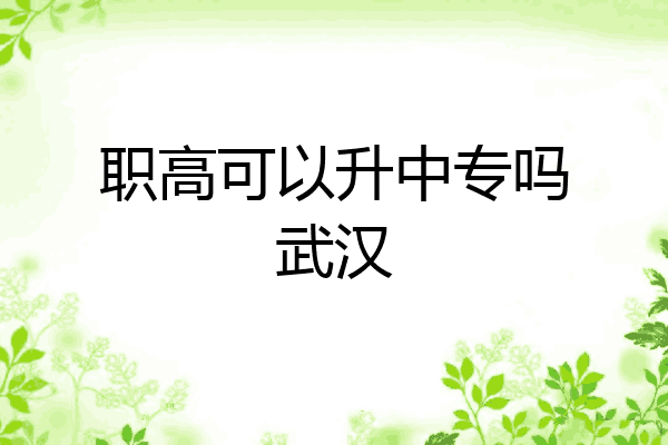 职高可以升中专吗武汉