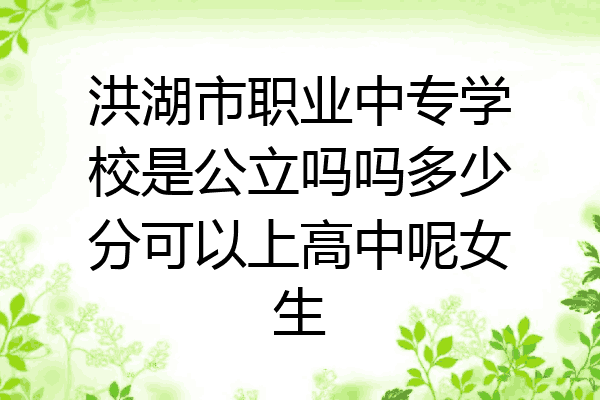 洪湖市职业中专学校是公立吗吗多少分可以上高中呢女生