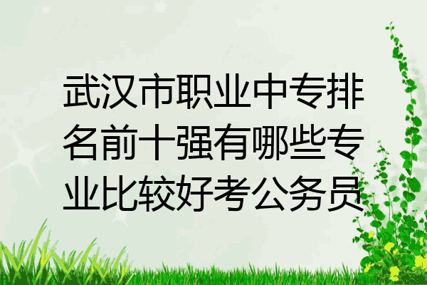 武汉市职业中专排名前十强有哪些专业比较好考公务员