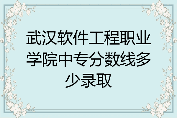 武汉软件工程职业学院中专分数线多少录取