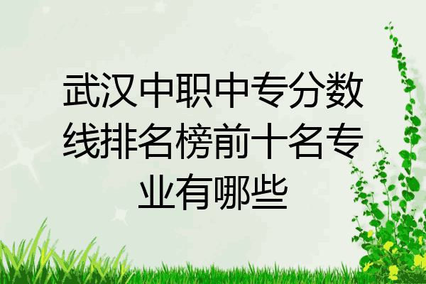 武汉中职中专分数线排名榜前十名专业有哪些