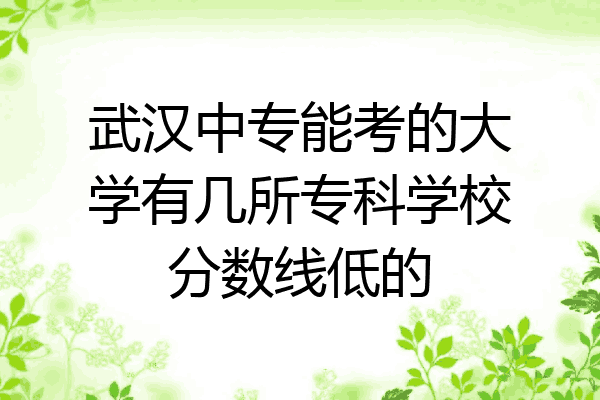 武汉中专能考的大学有几所专科学校分数线低的