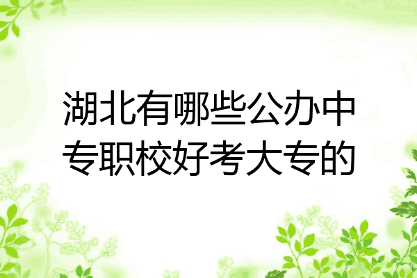 湖北有哪些公办中专职校好考大专的