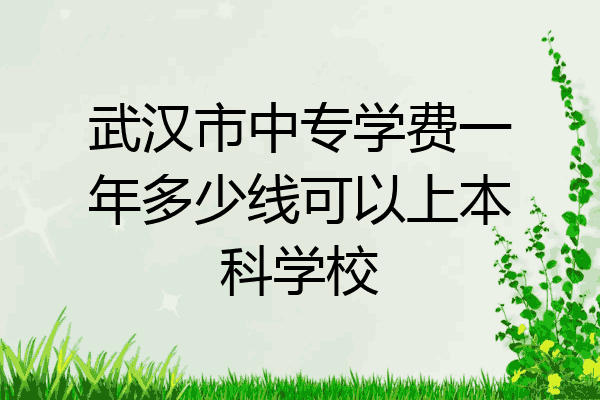 武汉市中专学费一年多少线可以上本科学校