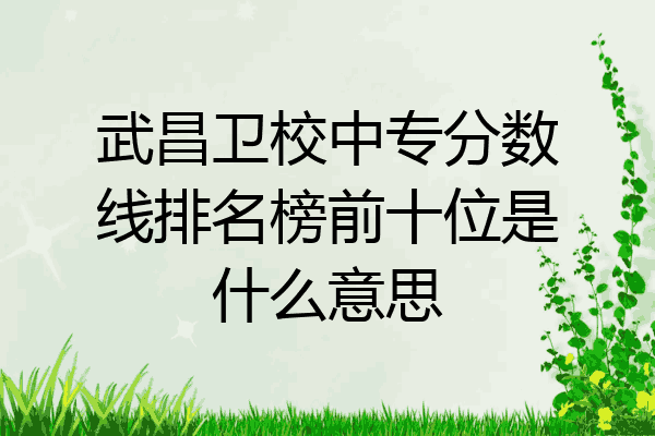 武昌卫校中专分数线排名榜前十位是什么意思