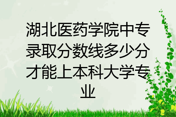 湖北医药学院中专录取分数线多少分才能上本科大学专业