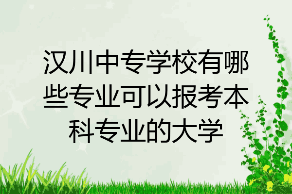 汉川中专学校有哪些专业可以报考本科专业的大学
