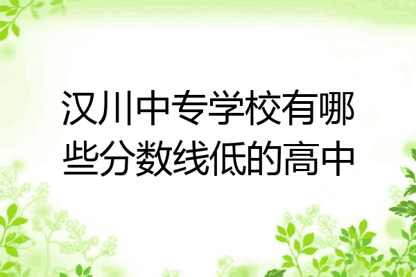 汉川中专学校有哪些分数线低的高中