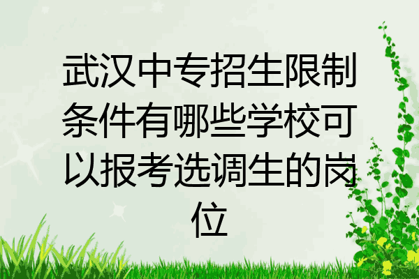 武汉中专招生限制条件有哪些学校可以报考选调生的岗位