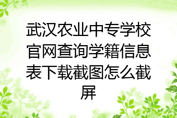 武汉农业中专学校官网查询学籍信息表下载截图怎么截屏