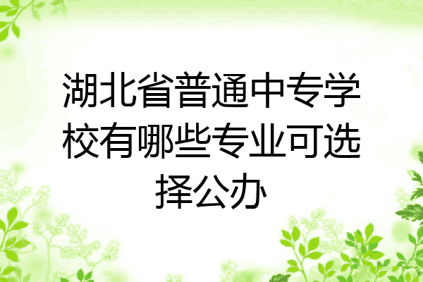 湖北省普通中专学校有哪些专业可选择公办