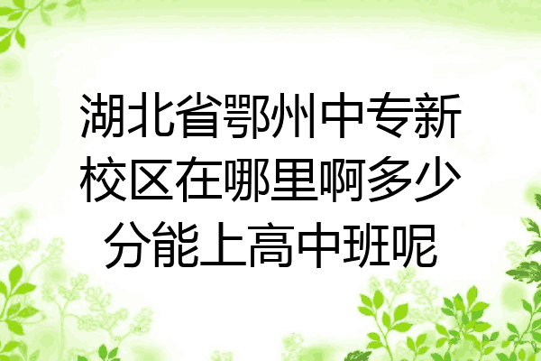 湖北省鄂州中专新校区在哪里啊多少分能上高中班呢
