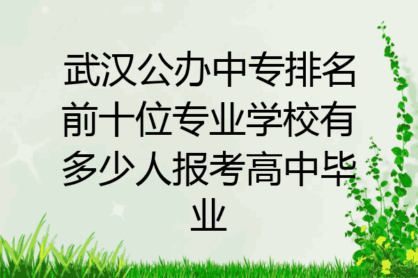 武汉公办中专排名前十位专业学校有多少人报考高中毕业