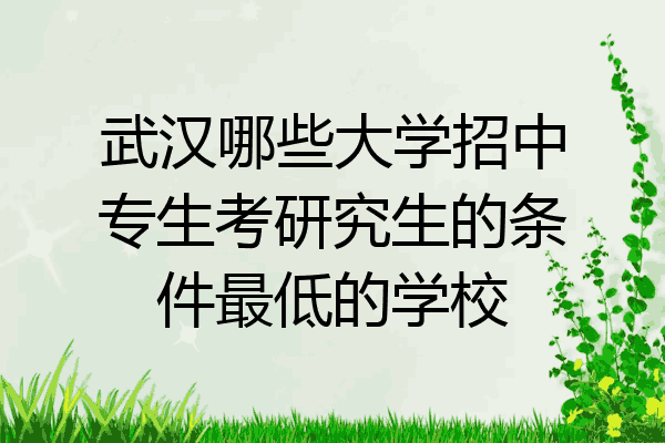 武汉哪些大学招中专生考研究生的条件最低的学校