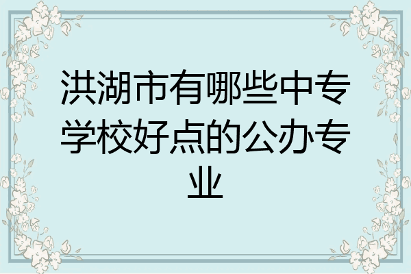 洪湖市有哪些中专学校好点的公办专业