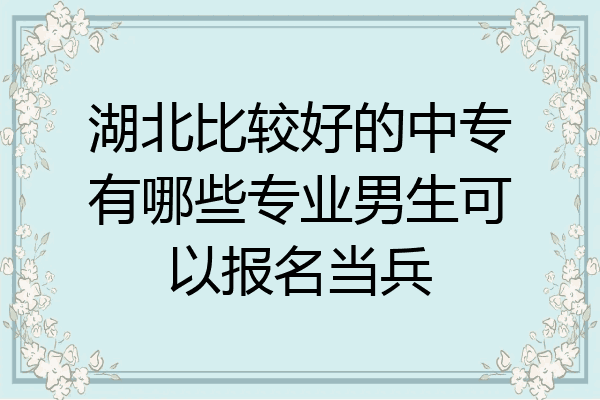 湖北比较好的中专有哪些专业男生可以报名当兵