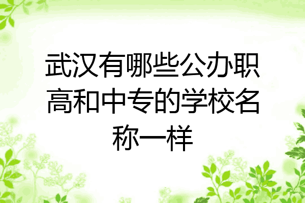 武汉有哪些公办职高和中专的学校名称一样