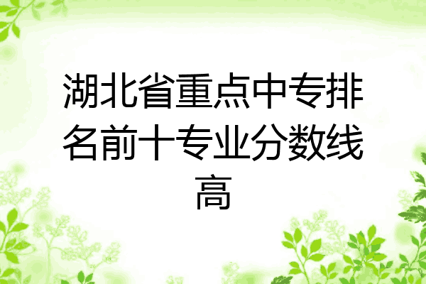 湖北省重点中专排名前十专业分数线高