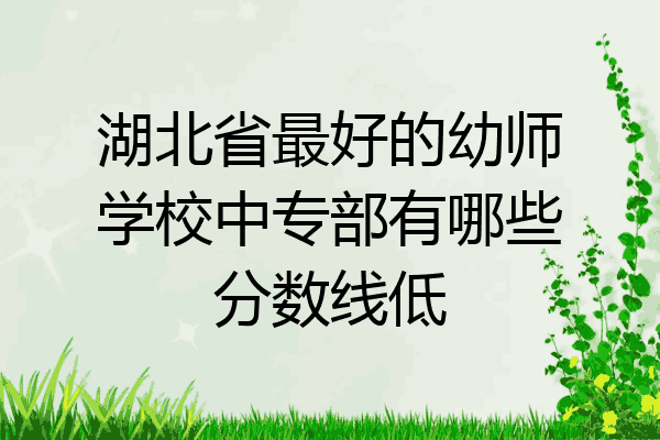 湖北省最好的幼师学校中专部有哪些分数线低