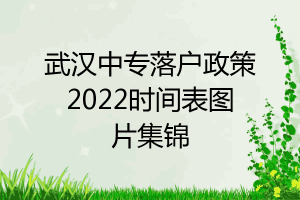 武汉中专落户政策2022时间表图片集锦