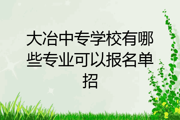 大冶中专学校有哪些专业可以报名单招