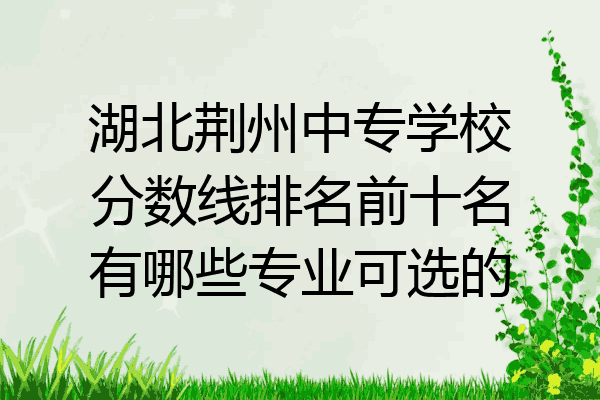 湖北荆州中专学校分数线排名前十名有哪些专业可选的