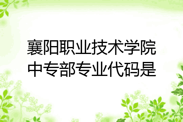 襄阳职业技术学院中专部专业代码是