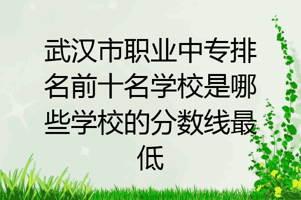 武汉市职业中专排名前十名学校是哪些学校的分数线最低