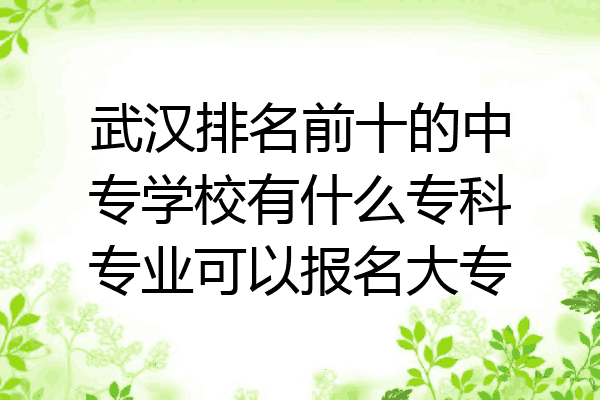 武汉排名前十的中专学校有什么专科专业可以报名大专