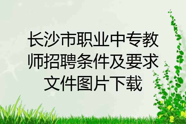 长沙市职业中专教师招聘条件及要求文件图片下载