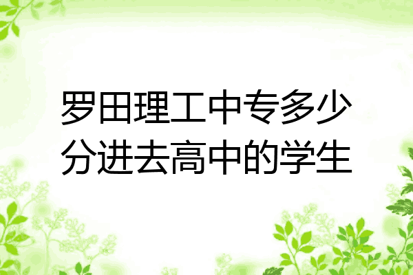 罗田理工中专多少分进去高中的学生