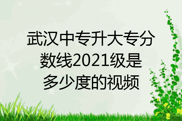 武汉中专升大专分数线2021级是多少度的视频