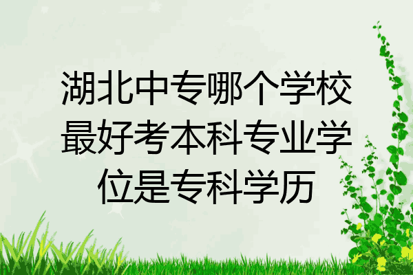 湖北中专哪个学校最好考本科专业学位是专科学历