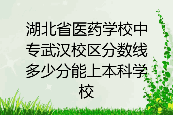 湖北省医药学校中专武汉校区分数线多少分能上本科学校