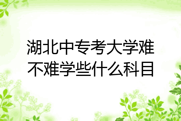 湖北中专考大学难不难学些什么科目