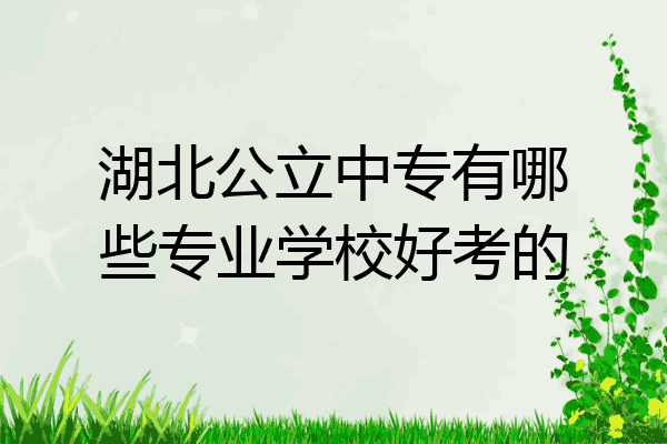 湖北公立中专有哪些专业学校好考的