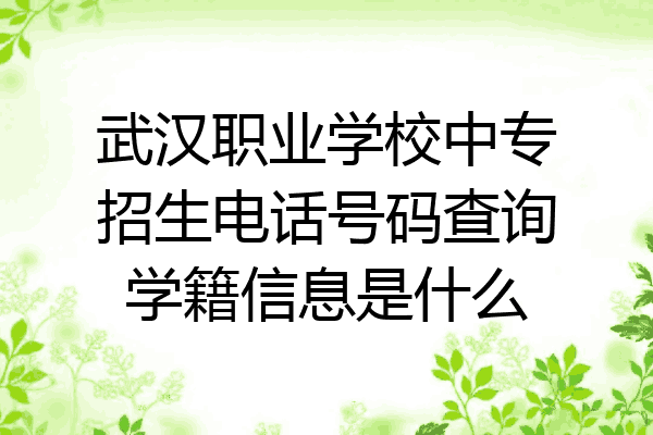 武汉职业学校中专招生电话号码查询学籍信息是什么