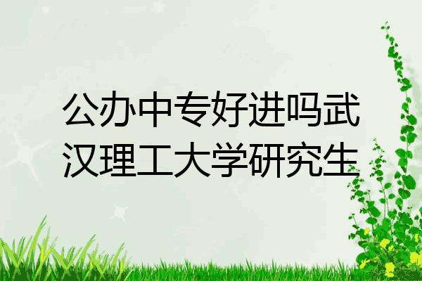 公办中专好进吗武汉理工大学研究生