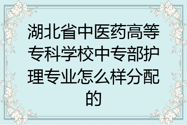 湖北省中医药高等专科学校中专部护理专业怎么样分配的