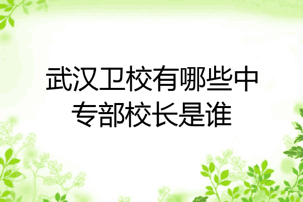 武汉卫校有哪些中专部校长是谁