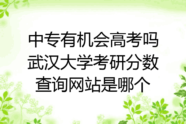 中专有机会高考吗武汉大学考研分数查询网站是哪个