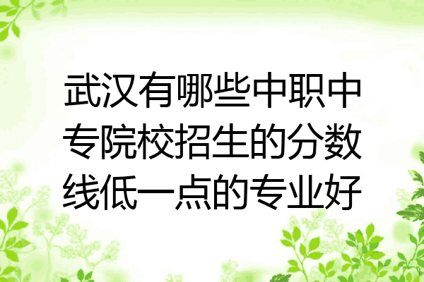 武汉有哪些中职中专院校招生的分数线低一点的专业好