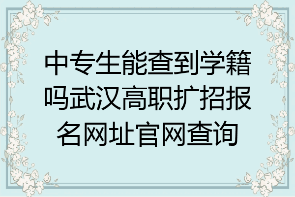 中专生能查到学籍吗武汉高职扩招报名网址官网查询