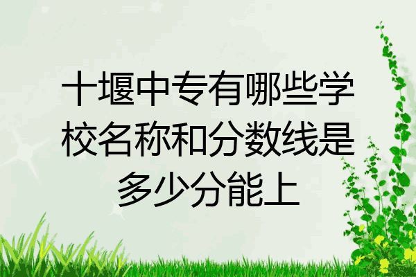十堰中专有哪些学校名称和分数线是多少分能上
