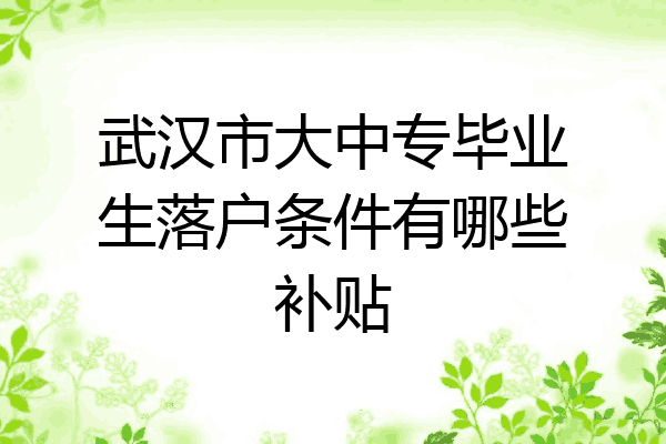 武汉市大中专毕业生落户条件有哪些补贴