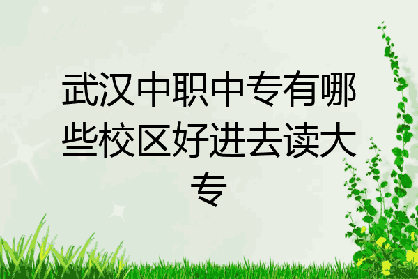 武汉中职中专有哪些校区好进去读大专