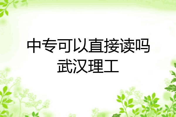 中专可以直接读吗武汉理工